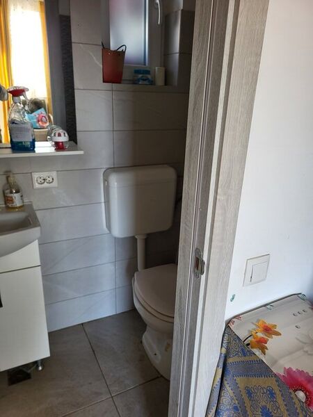 Bragadiru, Celofibrei