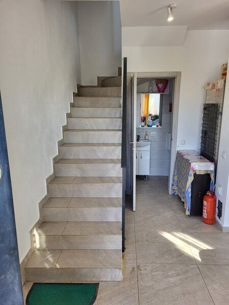 Bragadiru, Celofibrei