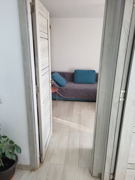 Bragadiru, Celofibrei