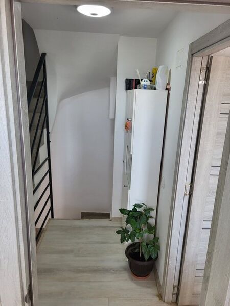 Bragadiru, Celofibrei