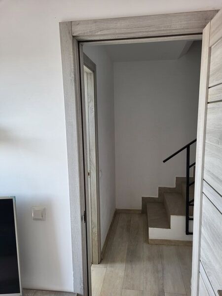 Bragadiru, Celofibrei