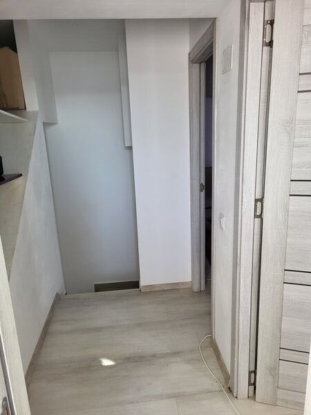 Bragadiru, Celofibrei